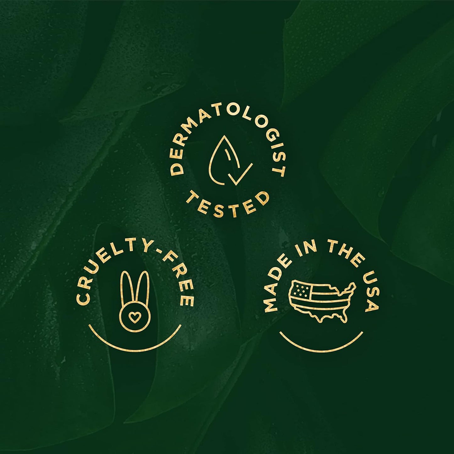 Tree of Life Beauty Ultimate Skin Care Set, Brightening, Firming, Hydrating, Moisturizing, Brightening, Complete Face Care Regimen - Evening Youth Serum and Cream 4 Pack