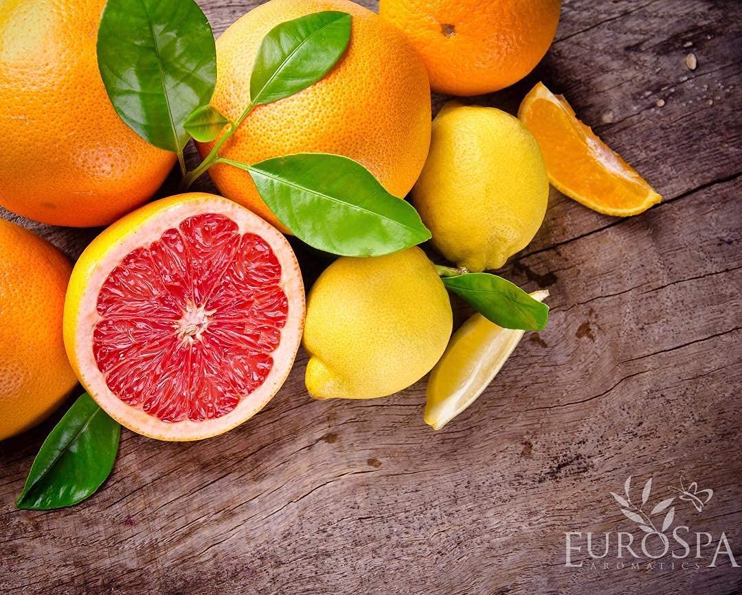 EuroSpa Aromatics Pure Eucalyptus Oil ShowerMist and Steam Room Spray, All-Natural Premium Aromatherapy Essential Oils - Citrus Infused, 2oz