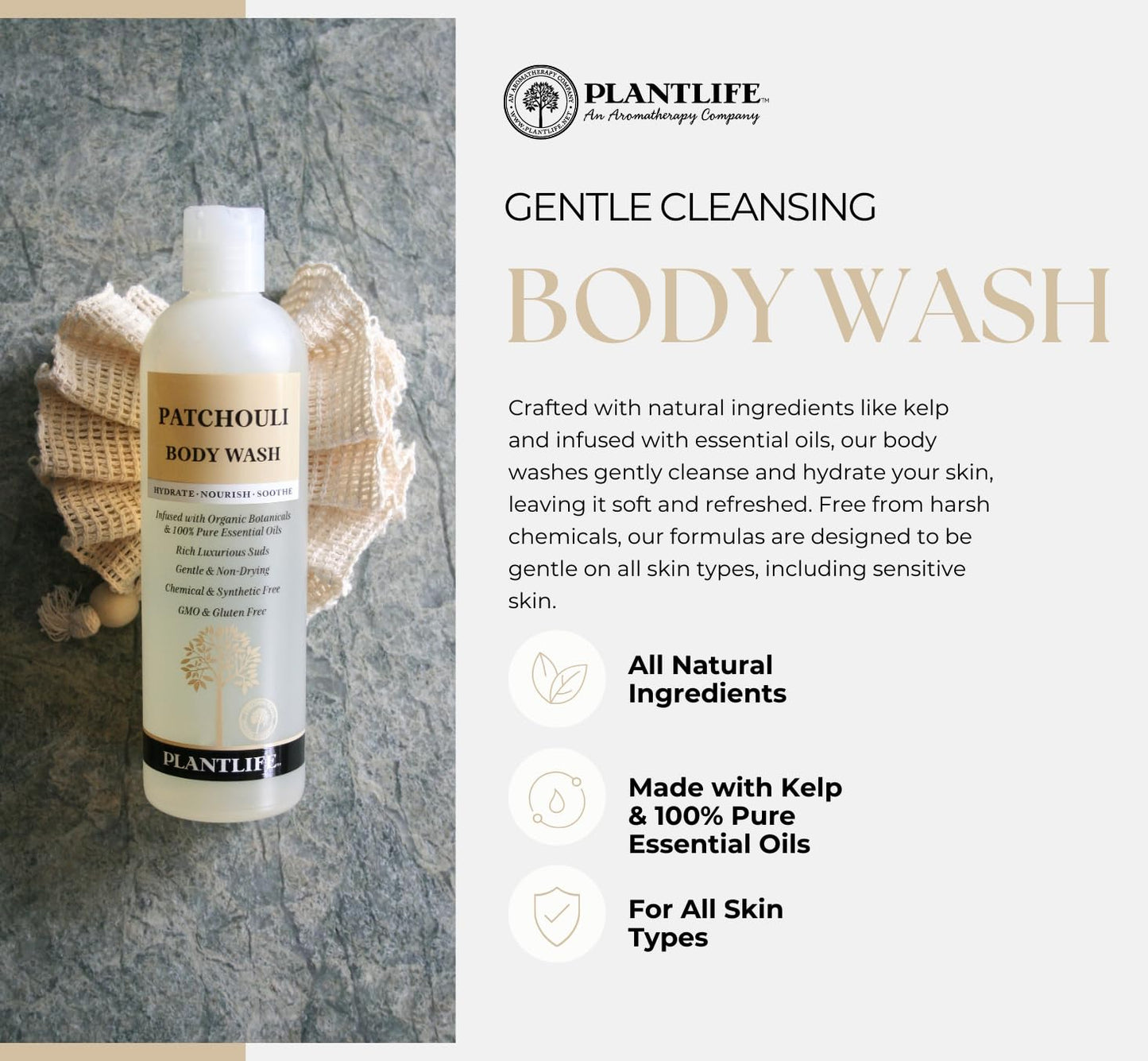 Plantlife Vanilla Orange Body Wash - GMO and Gluten Free Gentle and Moisturizing Body Wash That Contains Only Ingredients Straight from Nature - Manufactured in the USA 14 oz