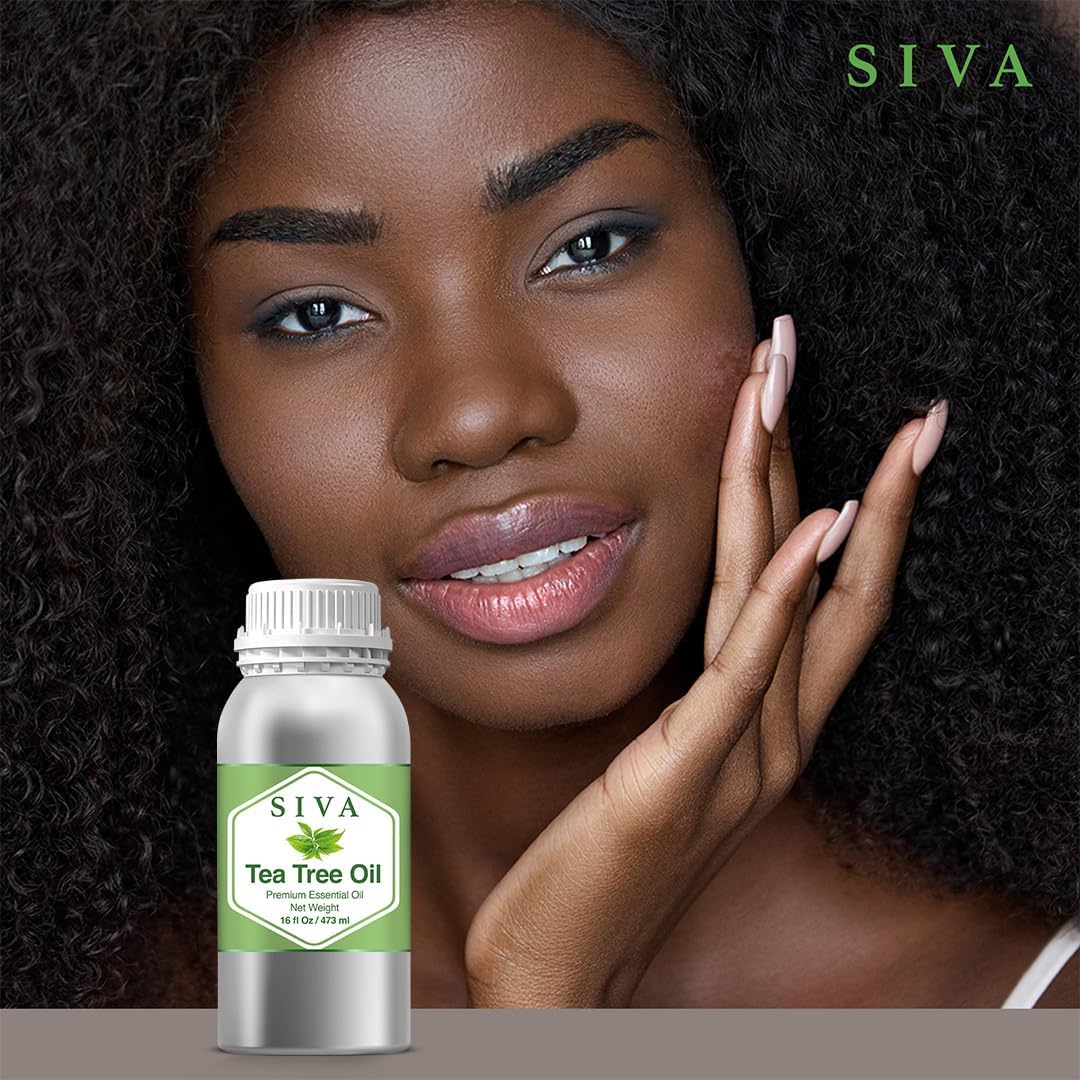 Siva Tea Tree Essential Oil - 16 Fl Oz – Natural Tea Tree Oil - for Diffuser, Face, Skin Care, Aromatherapy, Hair Care, Scalp and Body Massage