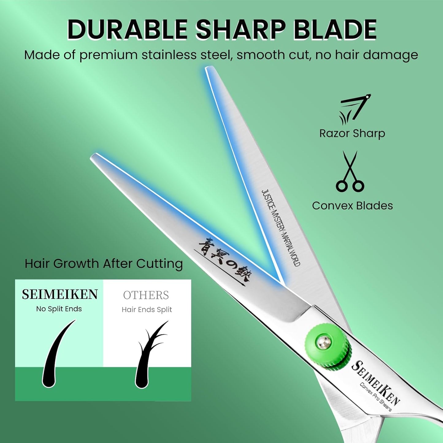 Hair Cutting Scissors – Professional Hair Shears - Premium Stainless Steel Haircut Scissors with Comb and Case - Barber Shears for Salon & Home Use, 6.0 Inch