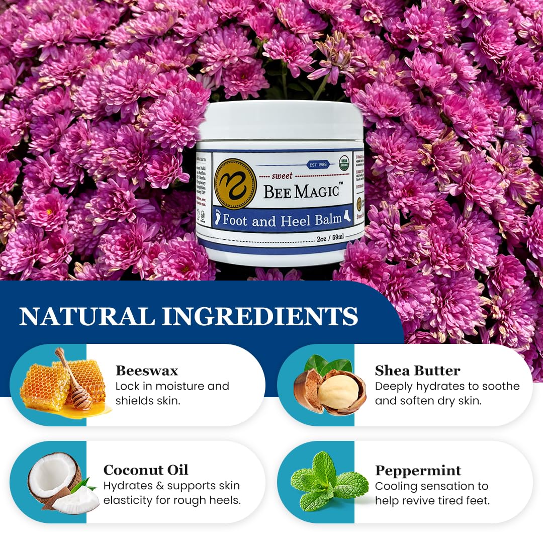Sweet Bee Naturals Organic All Natural Foot and Heel Balm 2 (2 OZ Jars). For Dry and Cracked Feet Repair. Organic Salve Moisturizer for Heel Care & Callus Treatment. Made in USA. 2 Jars (4 OZ)