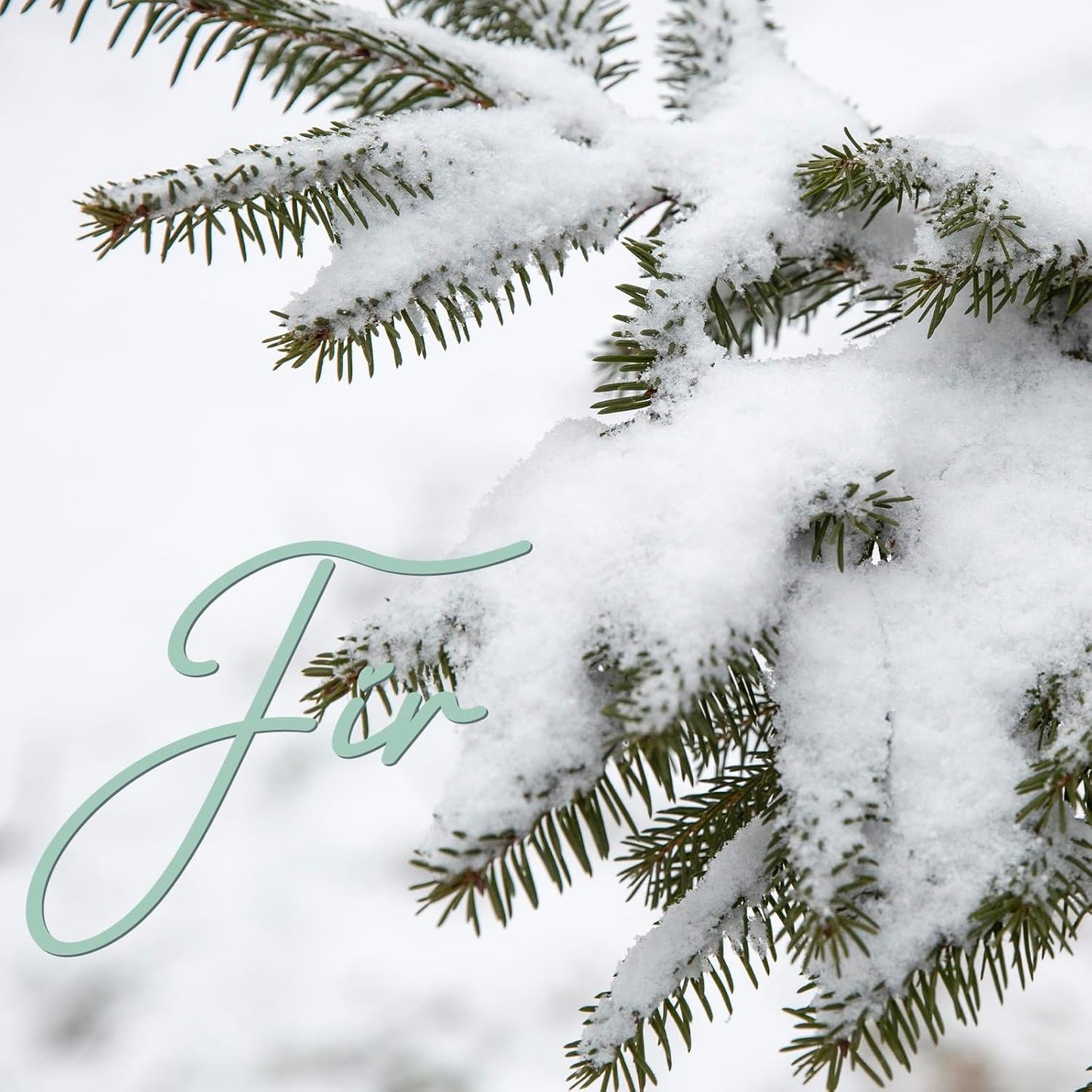 Room Spray, Fir, 4 fl oz, Air Freshener for Home, Long-Lasting Odor Eliminator for Bathroom and Office