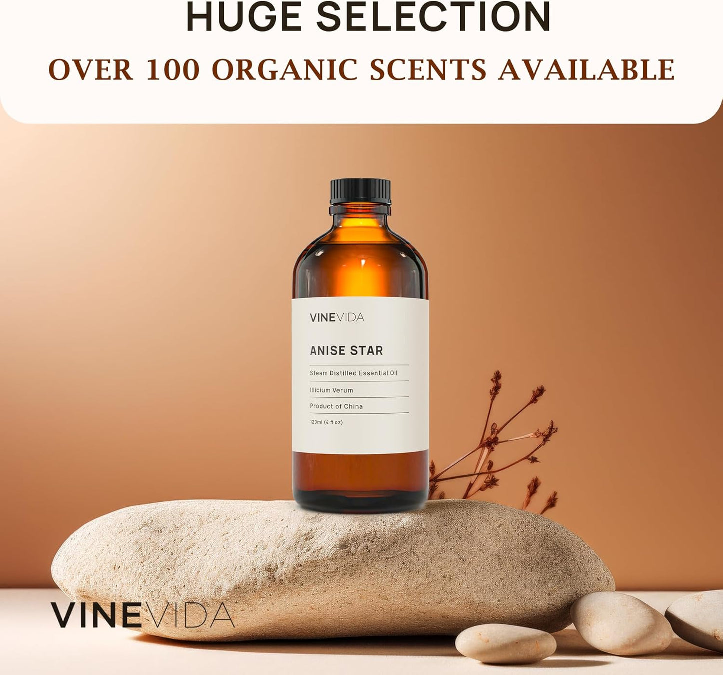 VINEVIDA Anise Star Essential Oil 4 oz - Undiluted Anise Star Oil 4 oz - Anise Star Candle Oil Scent - DIY Candle Scents for Candlemaking - Bulk Essential Oil for Soap Making Safe for Skin