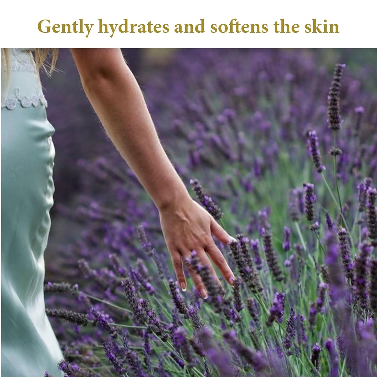 Calithea 3 Pack Soap Bars: Olive Oil Lavender Soap