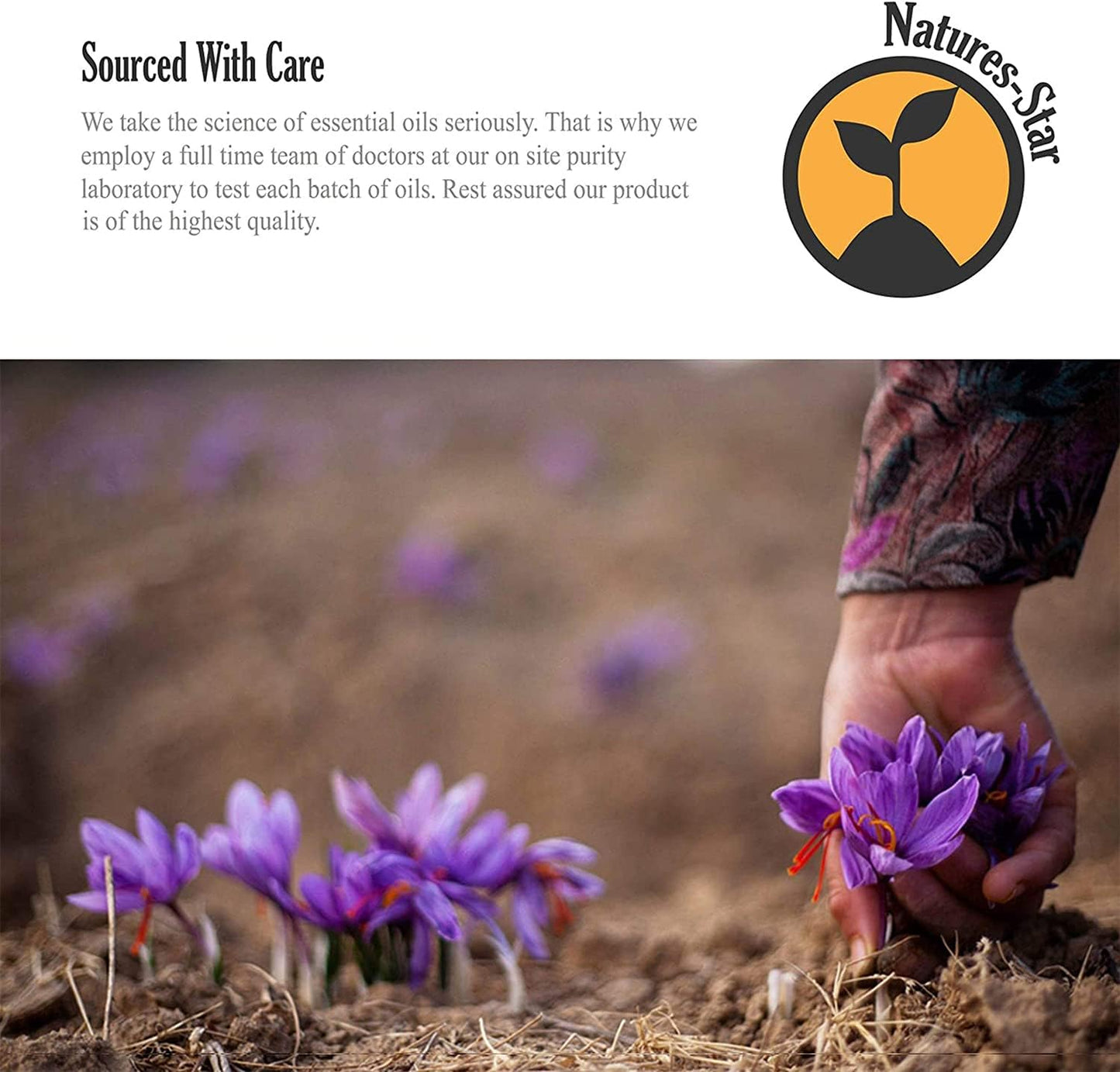 Lavender Essential Oil, 16 Ounce, Therapeutic Grade for Aromatherapy, Candle & Soap Making, Diffusers & Home, Lavender Oil