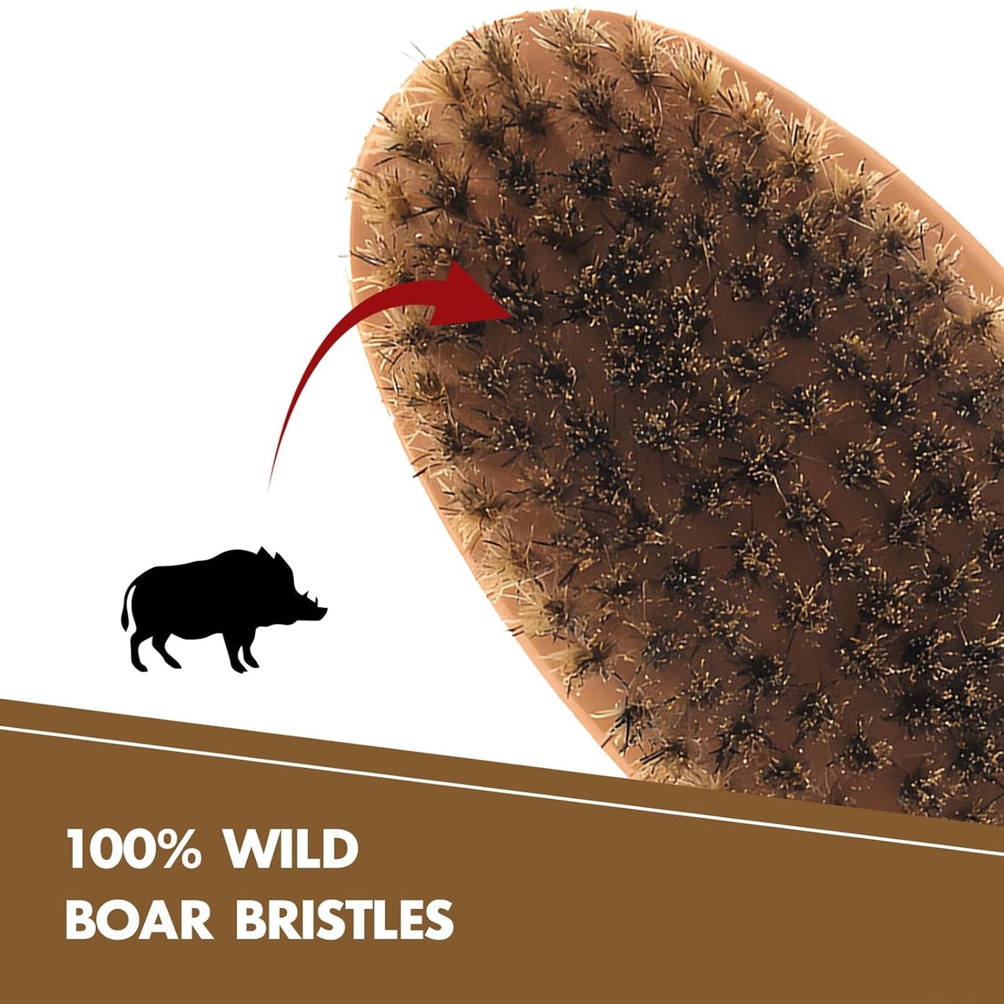 Boar Bristle Hair Beard Brush for Men - Small Soft Beard Brush, Pocket Travel Men's Wooden Mustache Brush