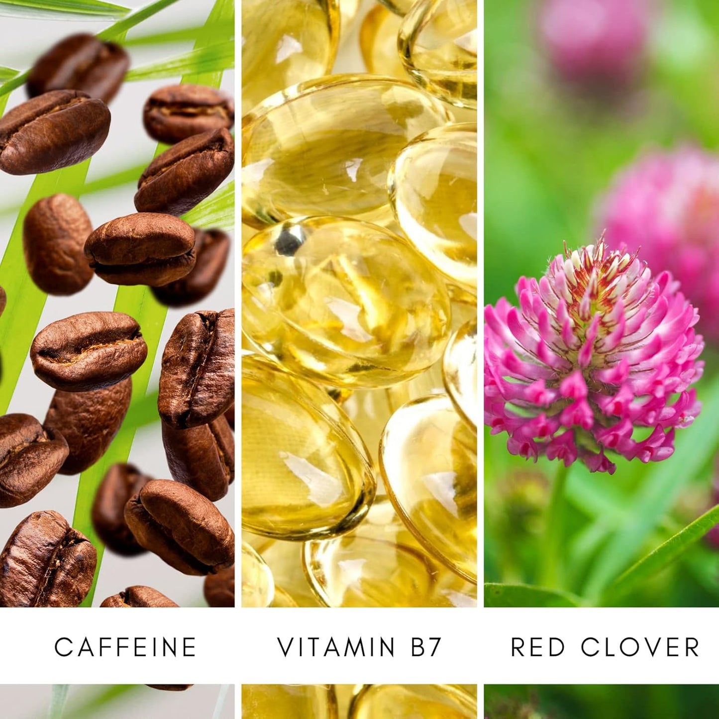 Biotin Hair Growth Serum Spray - For Men & Women With Fine, Thinning Hair - Fragrance Free & Sulfate Free DHT Blocking Hair & Beard Growth Formula, 2oz by TruePure