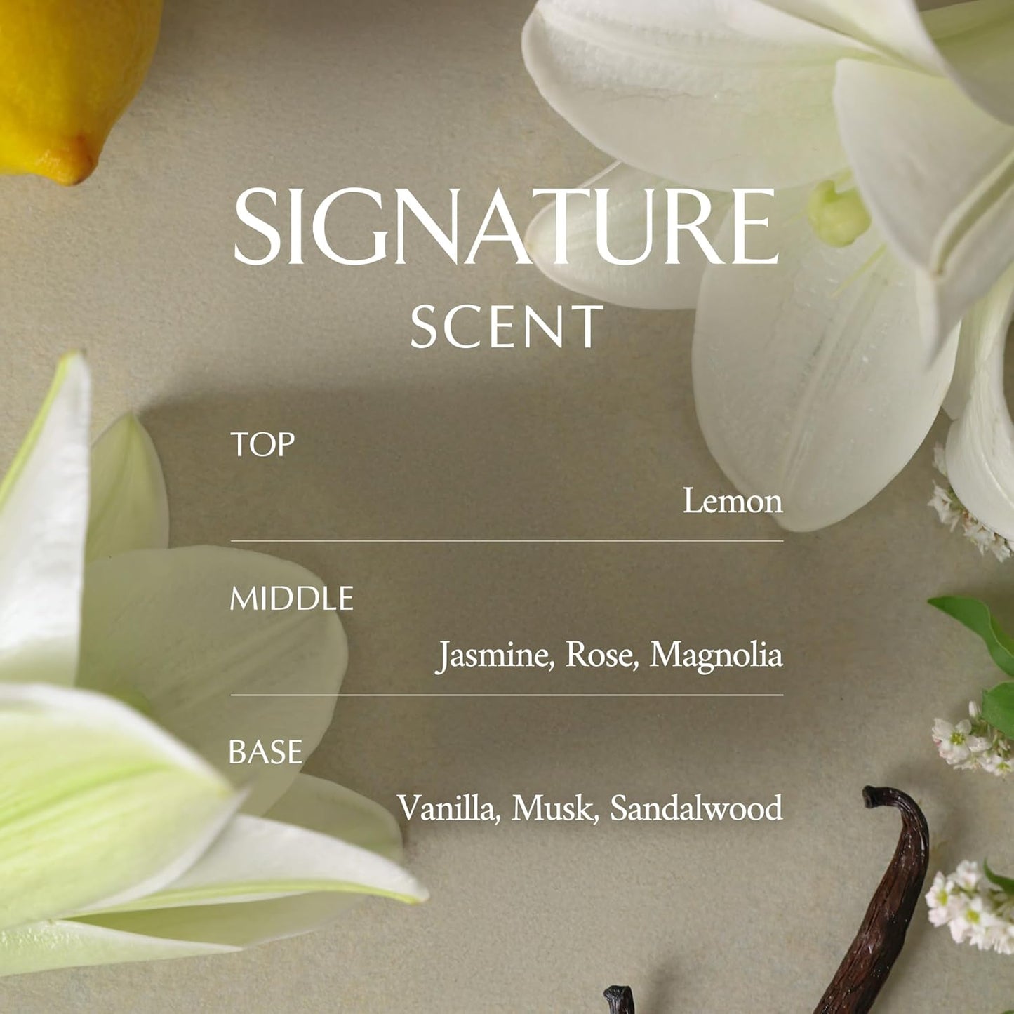 LA MUSE Perfume Body Lotion for Women(Floral Musk) | Body Cream for Women, Dry Skin with Shea Butter | Peptide Body Cream | Softens & Comforts Sensitive Skin with non-Sticky finish | Korean Skin Care