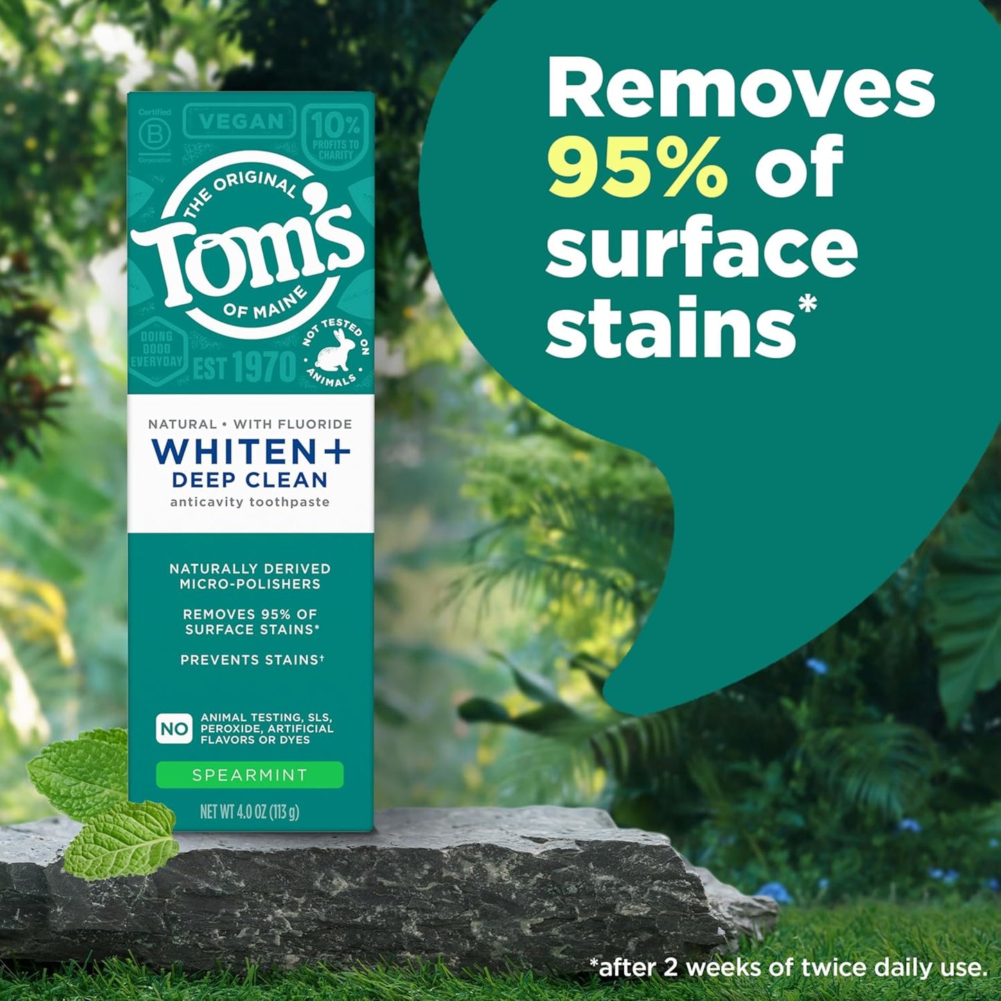 Tom's of Maine Whiten Plus Deep Clean Whitening Toothpaste, Natural Whitening Toothpaste with Plant-Based Cleansers, Enamel Safe Formula, Whitens Without Causing Sensitivity, Spearmint, 4.0 Oz