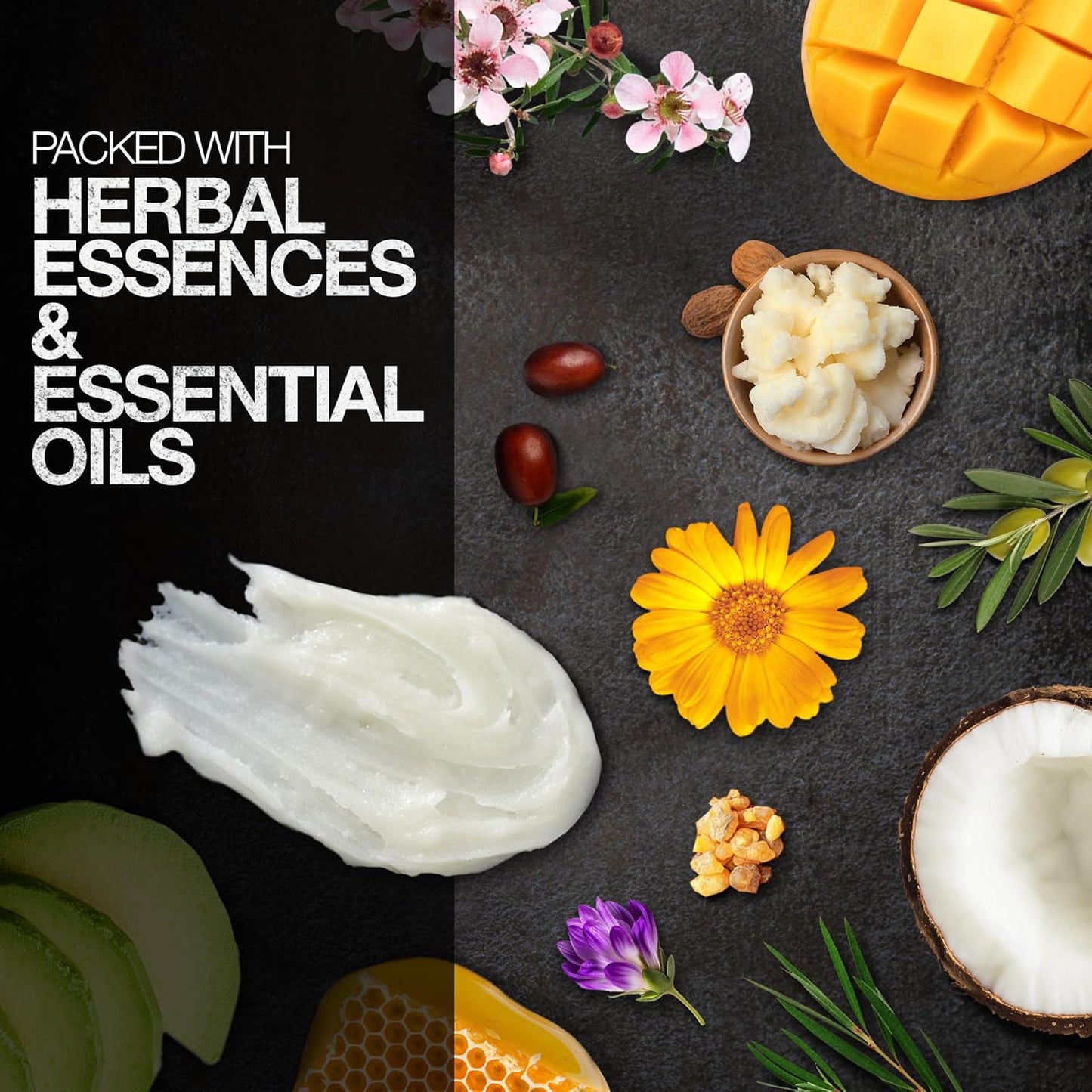 Ebanel Tattoo Balm 6oz, Premium Tattoo Aftercare Cream Brightener Ink Color Enhancing Butter Moisturizer with Herbal Essences and Essential Oils, All-Stage Tattoos Ointment After Care Kit Supplies