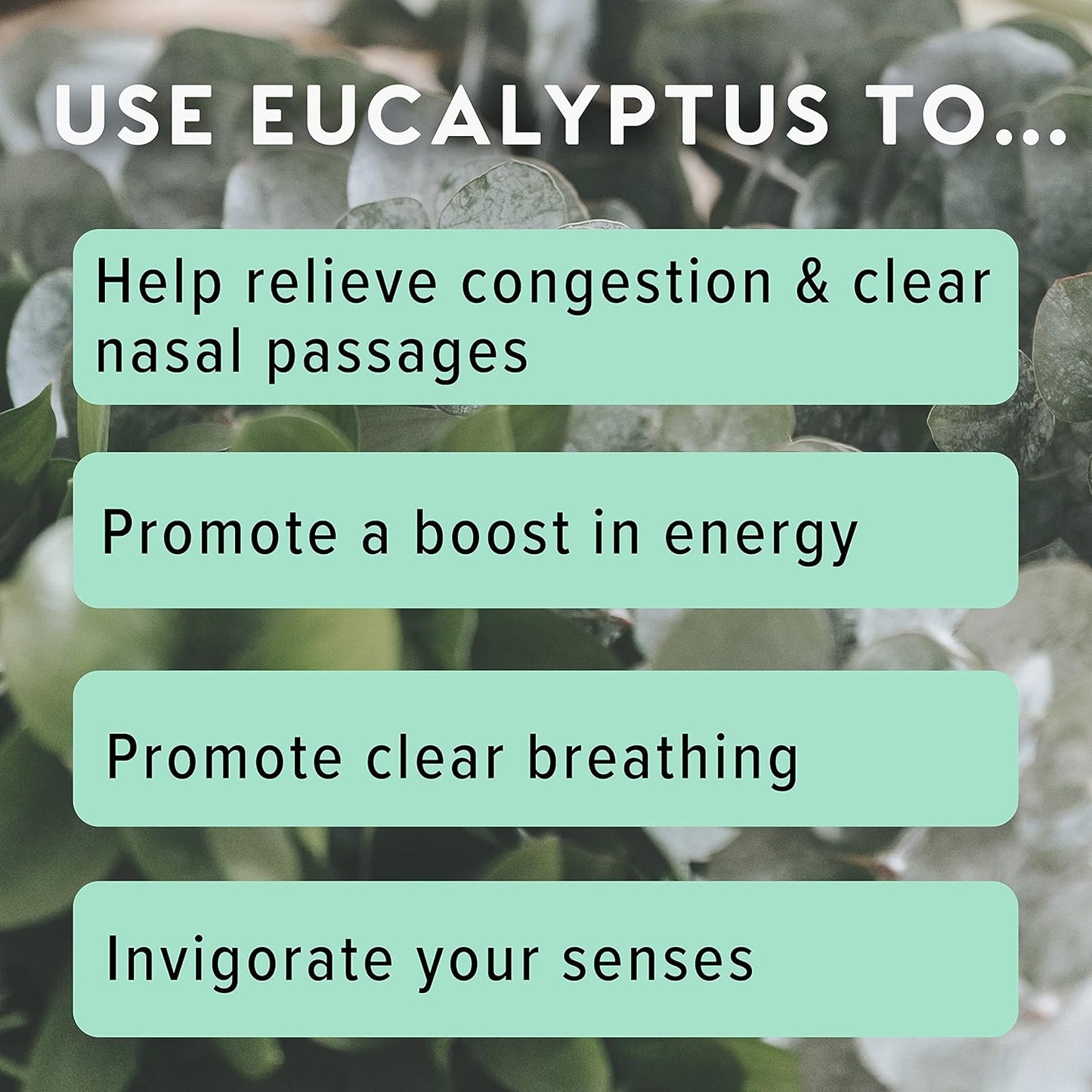 MOXĒ Eucalyptus Essential Oil Nasal Inhaler, Sinus & Congestion Relief, Daily Relaxation, Stress Relief, Therapeutic No-Mess Aromatherapy, Pure and Natural, Made in USA (1 Pack)