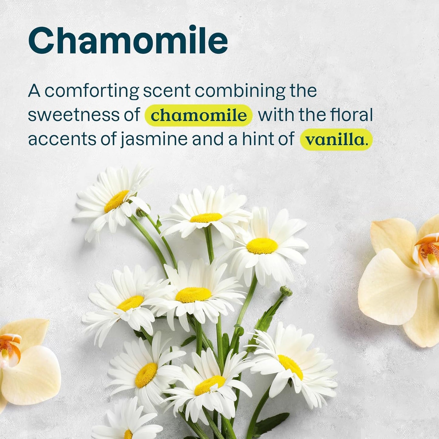 ATTITUDE Hair Conditioner for Sensitive Dry Scalp, For Thin Hair, Soothing Oat, Naturally Derived Ingredients, Dermatologically Tested, Vegan Detangler, Volume and Shine, 8 Fl Oz