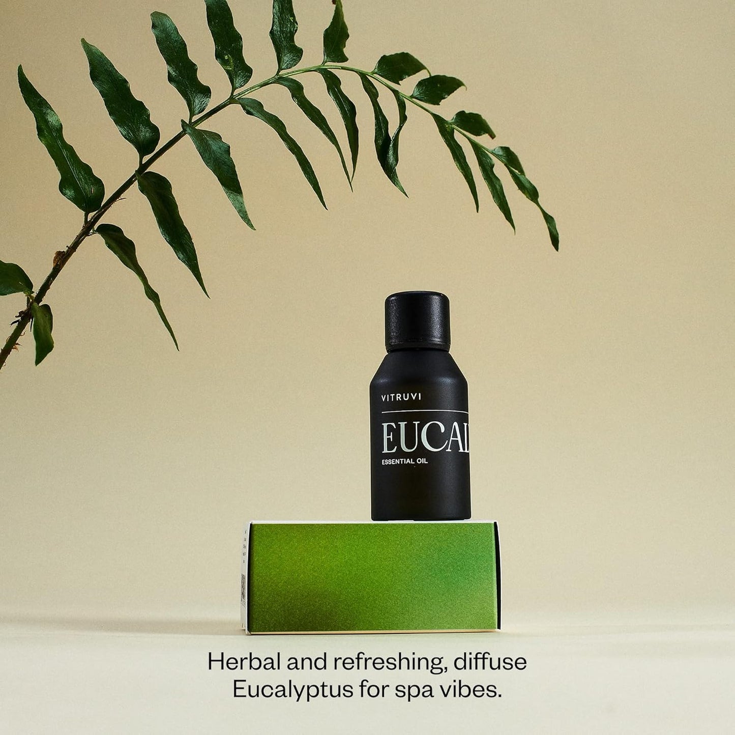 Vitruvi Eucalyptus, 100% Pure Premium Essential Oil (1.0 fl.oz)