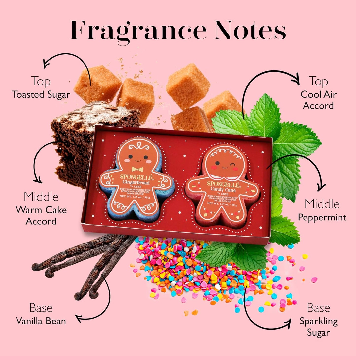 Spongellé Gingerbread Gift Set Body Wash Infused Buffers, Sugar & Spice