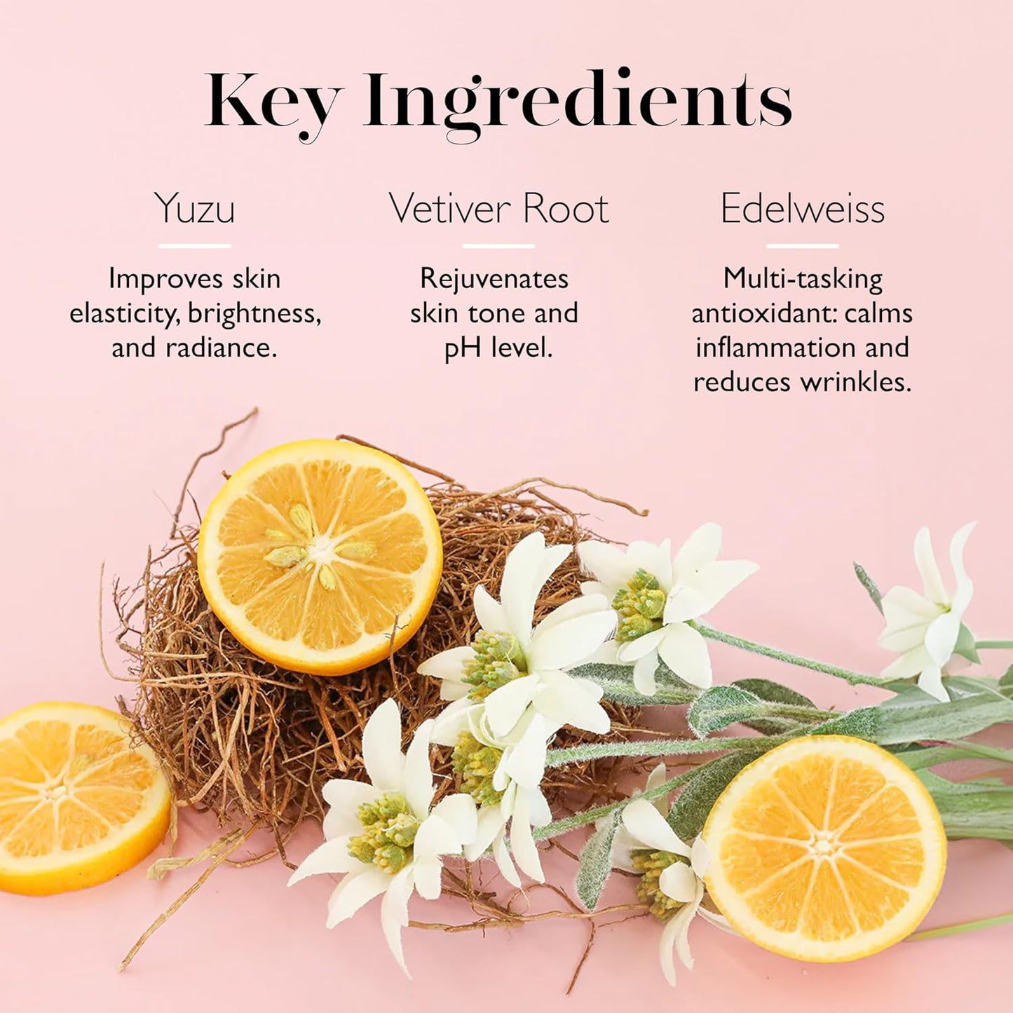 Spongelle Daisy Spongette French Lavender