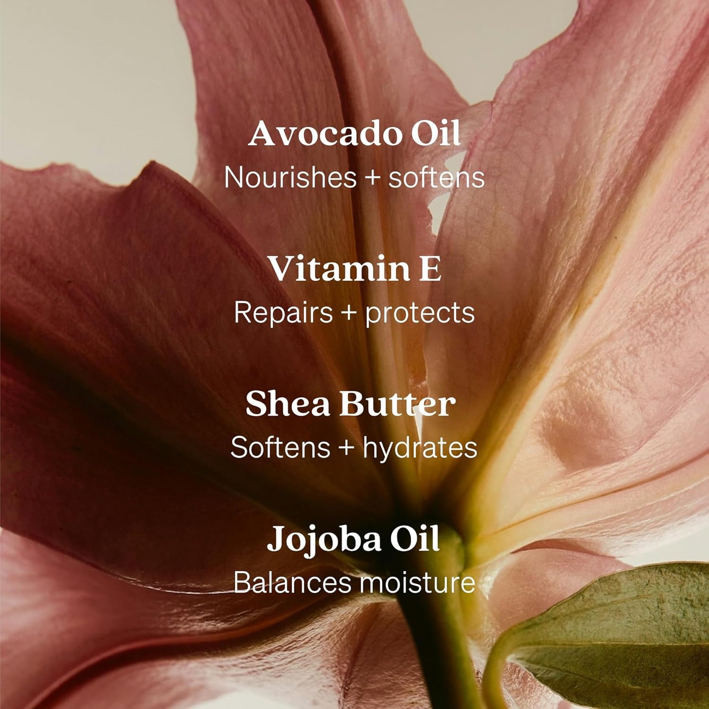 Loved01 Hand Wash, Just Because Liquid Hand Soap, Gentle & Hydrating, Cruelty-Free, Formulated with Nourishing Oils & Soft Floral Scent, 2-Pack (15 oz each)