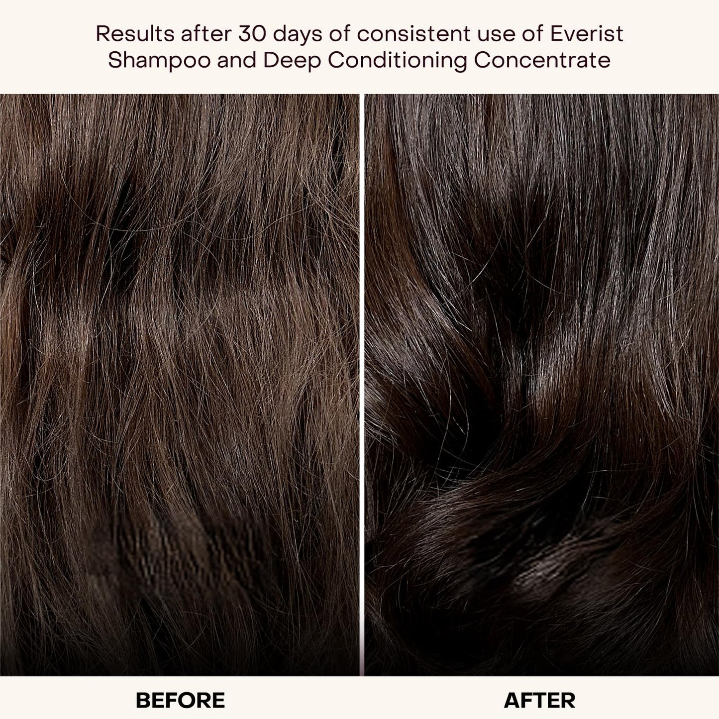 Everist The Haircare Essentials Duo, Shampoo & Deep Conditioner, Repairs Hair, Ideal for Sensitive Scalp, Hydrating and Smoothing, Plant-based, Color-safe, 3.4 fl oz Each, Tins
