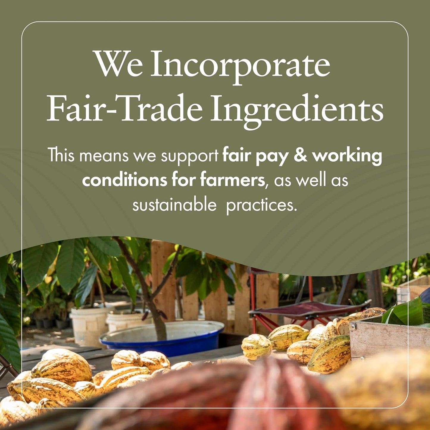 emerginC Scientific Organics Ginger-Lime Sugar Scrub - Exfoliating Body Scrub with Vitamin E + Moisturizing Shea Butter, Ginger Root Oil + Coconut Oil - Removes Dead Skin (8 oz)