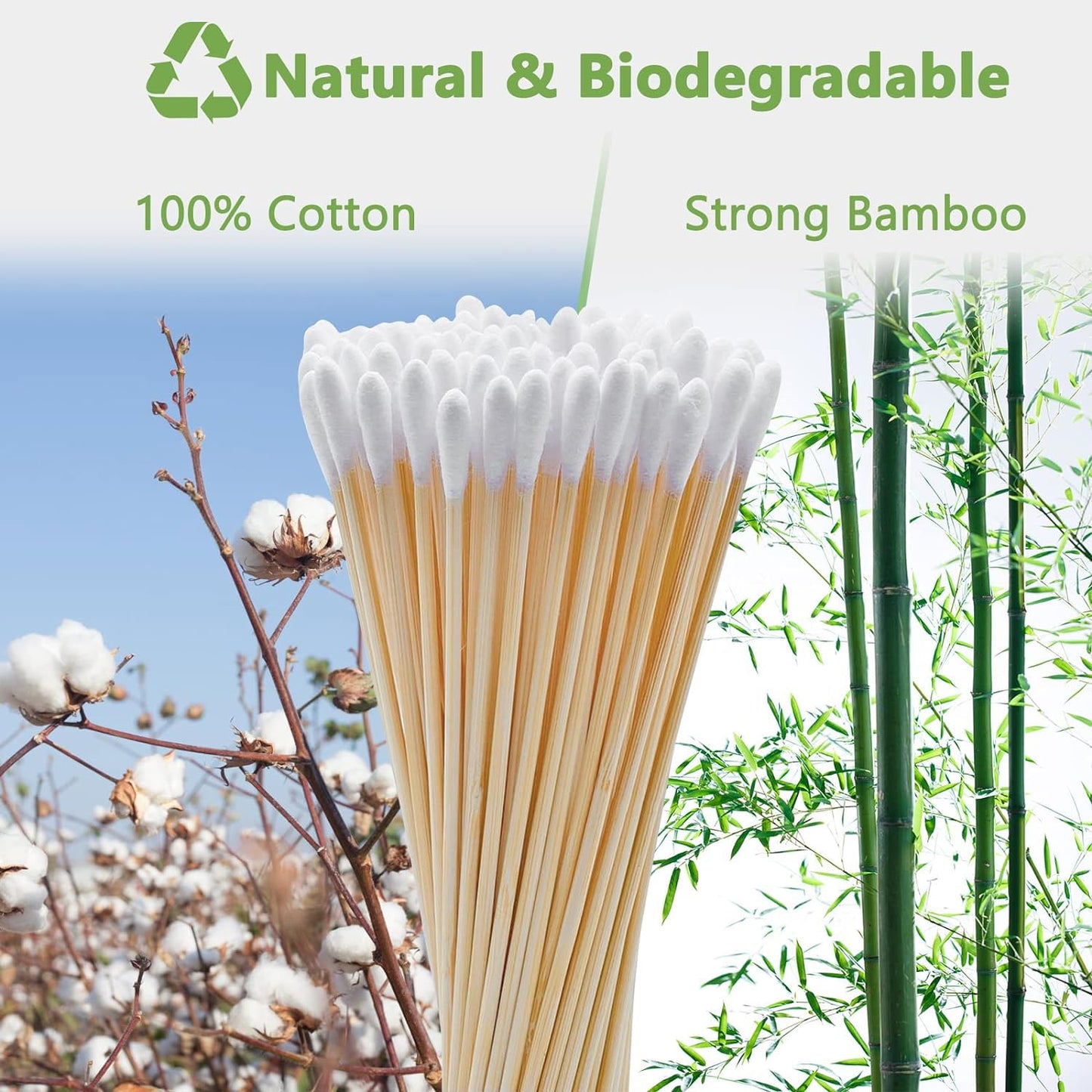 Round Tip Cotton Swabs, 6-Inch Bamboo Sticks, Lint-Free, for Delicate Cleaning, Arts & Crafts, Pet Care, Audio Equipment Maintenance with Portable Storage Case (Round Tips (500ct))