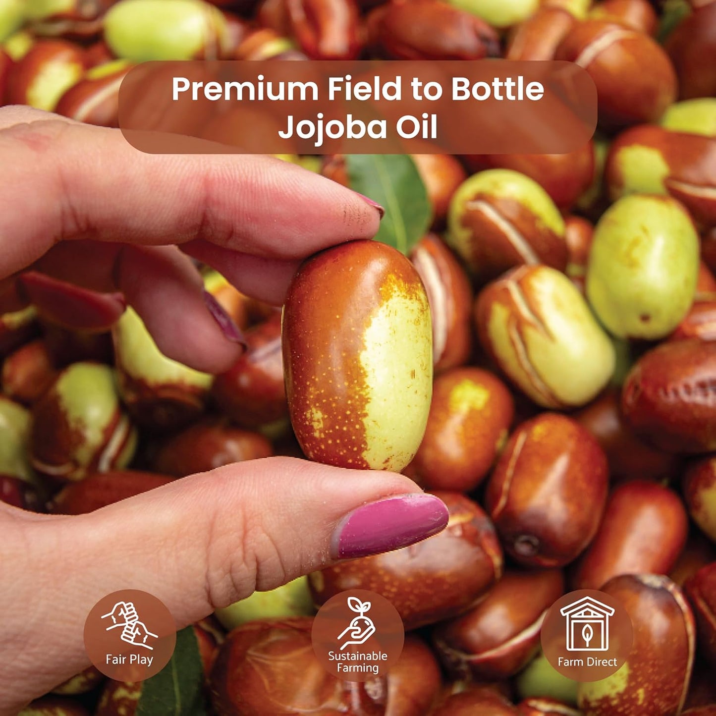 Jojoba Oil - Direct from EIR Oils' Farm in Israel - 100% Pure Carrier Oil for Hair, Face, and Skin - Hand-Picked, Cold-Pressed Carrier Oil (4 Gallons)