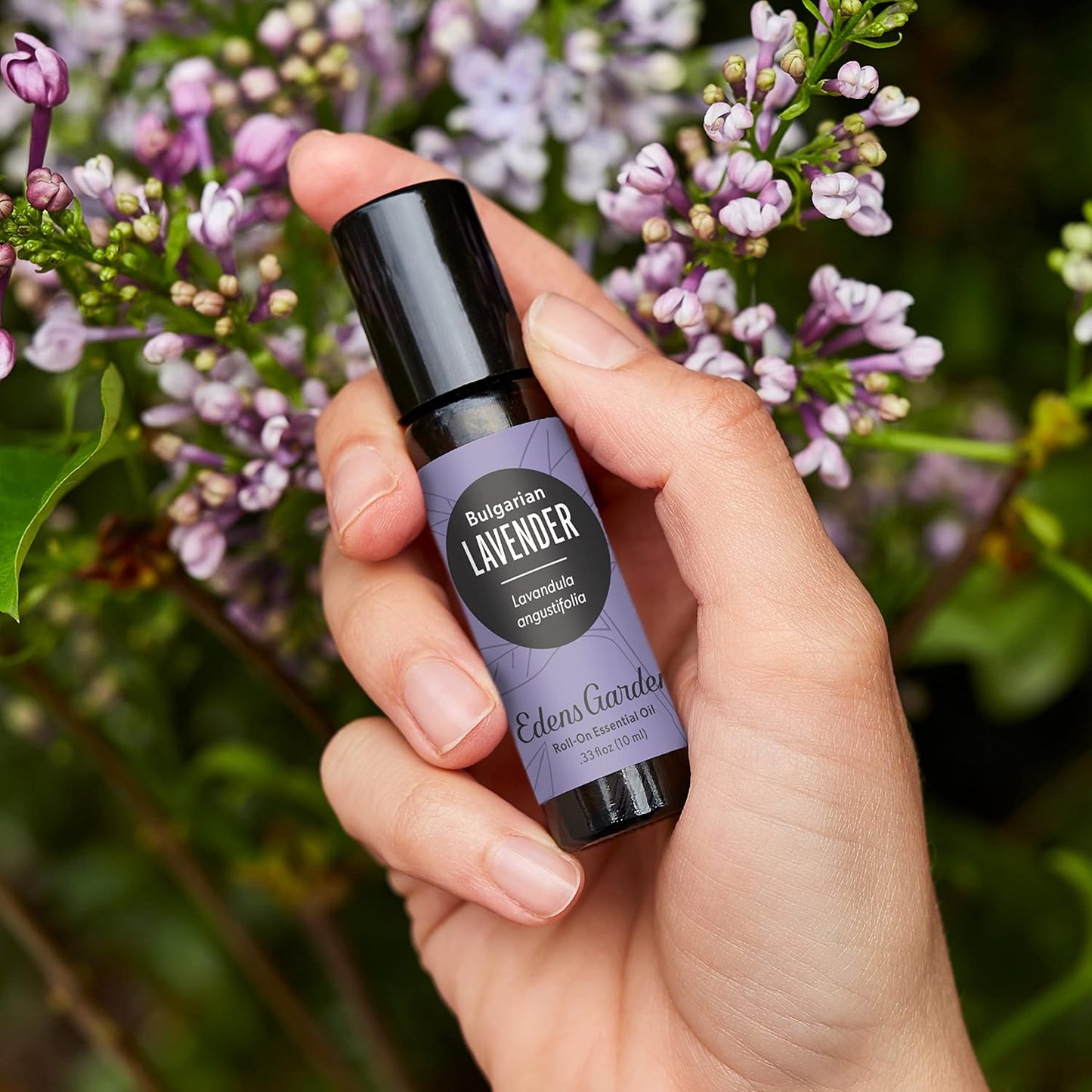 Edens Garden Lavender- Bulgarian Essential Oil Roll-On- 100% Pure Premium Grade, Natural, Therapeutic, Aromatherapy, Kid & Skin Safe, The Best for Comfort, Relaxation Pre-Diluted 10 ml (.33 fl oz)