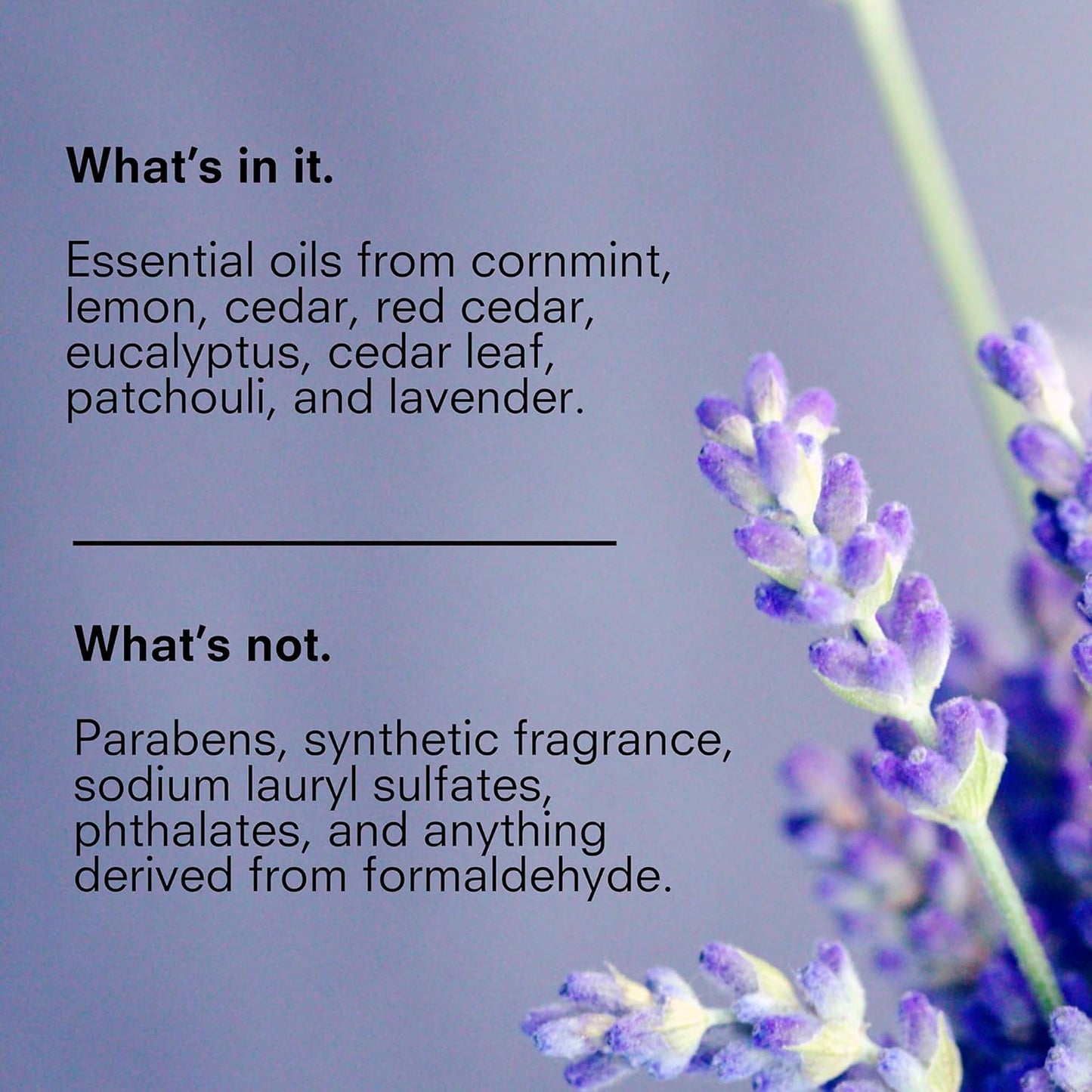 Public Goods Body & Hand Lotion for Women & Men | Natural Moisturizing Daily Lotion for Dry & Itchy Skin | Paraben & Sulfate Free | Made with Organic Essential Oils | Made in Canada | 34 Fl Oz Refill