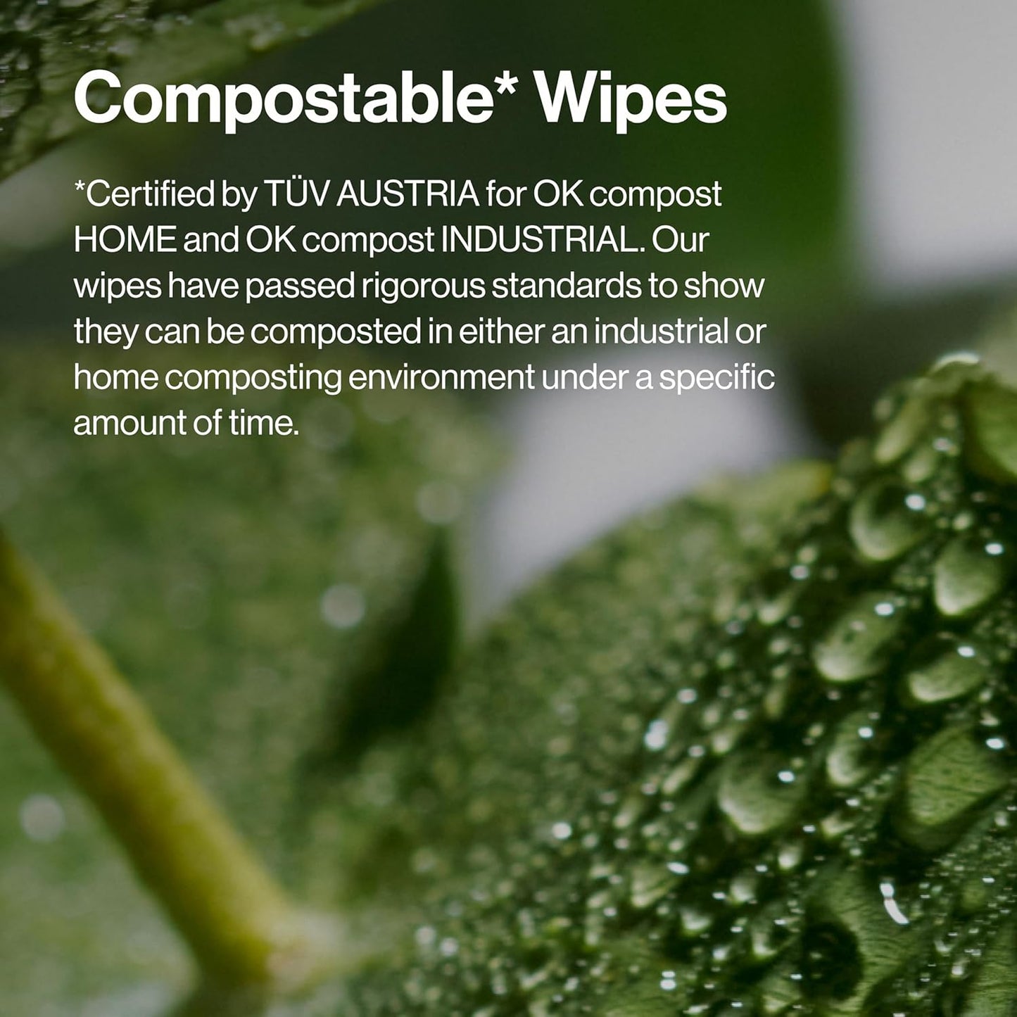 Honest Beauty Fragrance Free Cleansing Makeup Remover Facial Wipes | Plant Based, Hypoallergenic, Gentle for Sensitive Skin | 90 Count