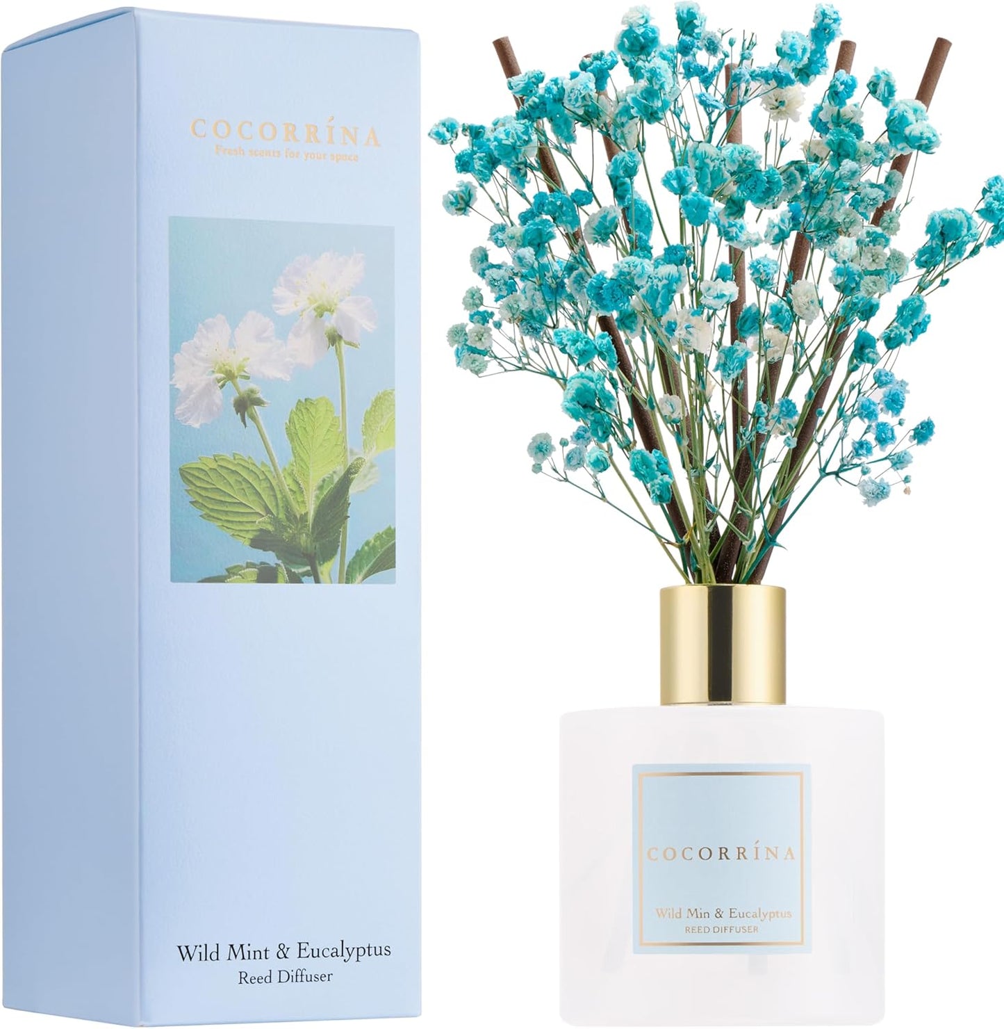 COCORRÍNA Reed Diffuser - Wild Mint & Eucalyptus 6.7 Fl.oz Reed Diffuser Set with Sticks & Preserved Baby's Breath, Reed Diffuser for Home Bathroom Shelf Decor