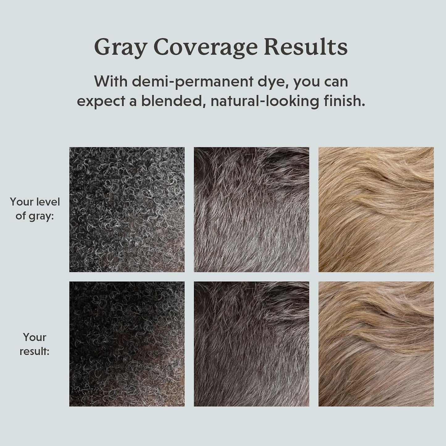 Hair & Beard Color for Blending Grays 2 pack - Darkest Ash Brown - Ammonia-Free Complete Men’s At-home Beard & Hair Dye Kit, Professional-grade Demi-Permanent Hair Color (3.1)