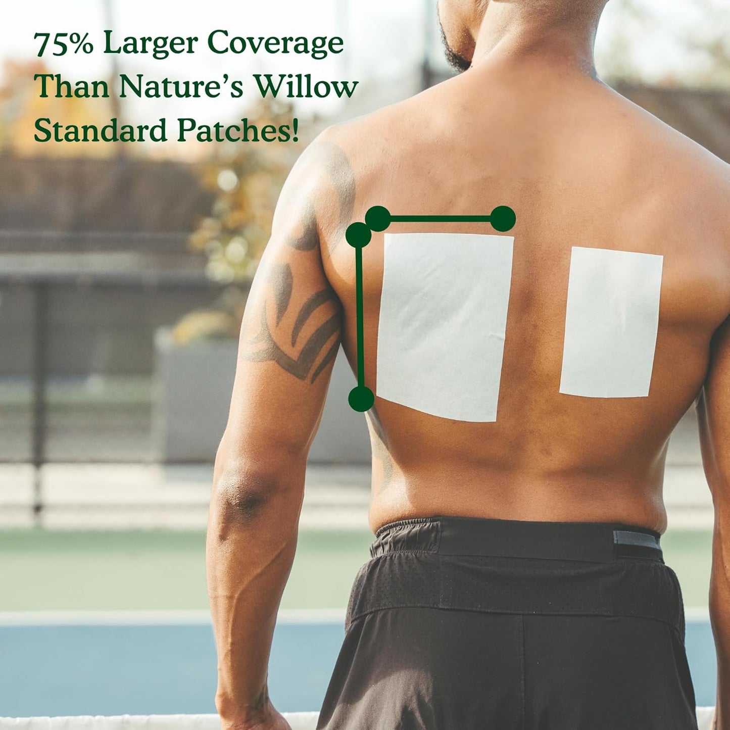 Nature's Willow Natural Pain Relief Patches for Muscles & Joints | Fast-Acting with White Willow Bark | Free from Artificial Fragrances & Dyes | 6 Patches (1-Pack)