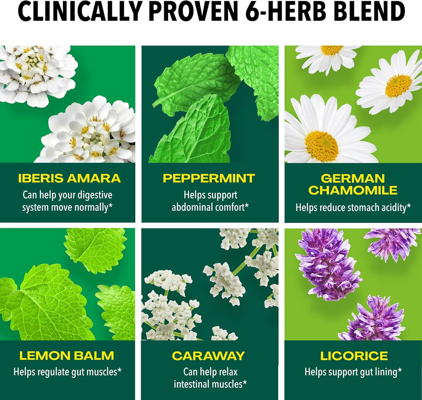 Iberogast Softgels, Herbal Relief of Stomach Upsets: Occasional Indigestion, Bloating, Gas, Nausea, Upset Stomach; 6-Herb Blend with Iberis Amara, Peppermint, Licorice, Lemon Balm; 30ct