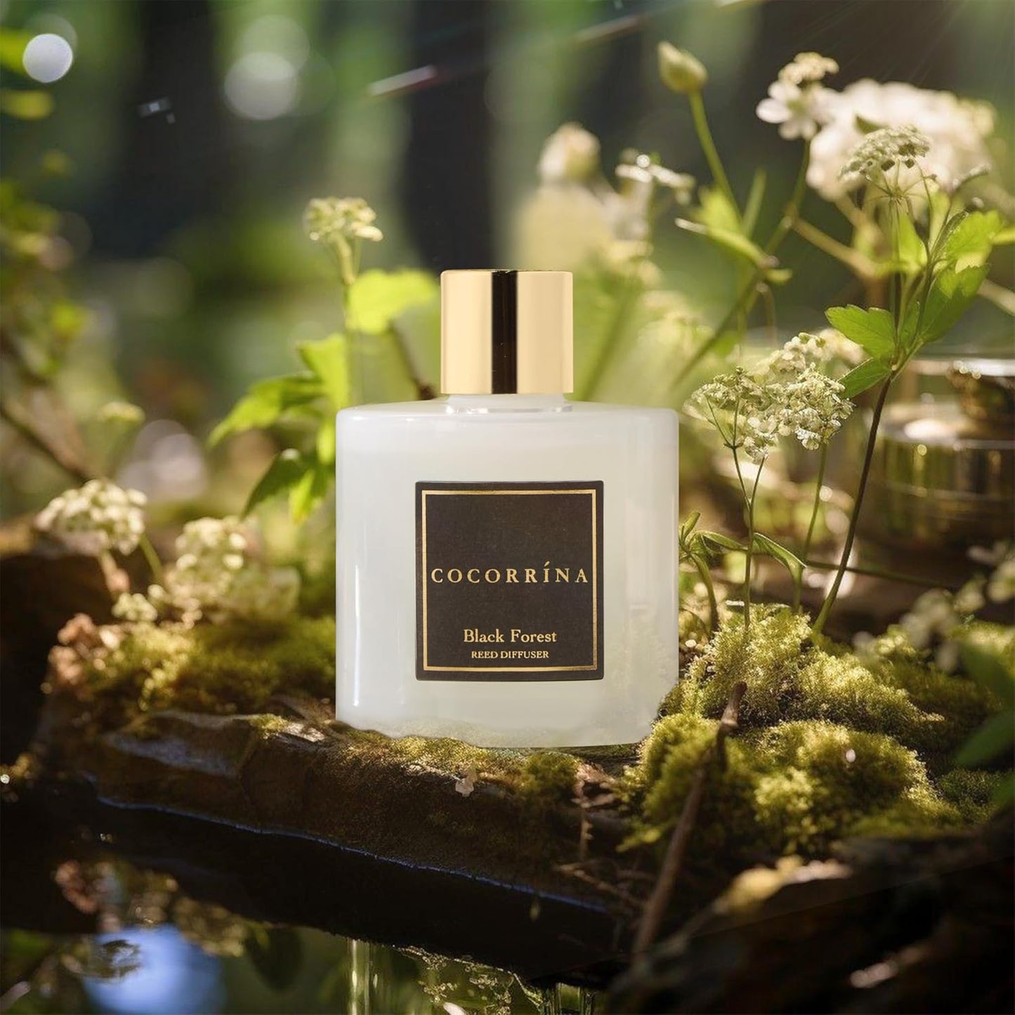 Cocorrína Reed Diffuser Sets, 6.7 fl oz. Black Forest Diffuser with Sticks Home Fragrance Reed Diffuser for Bathroom Shelf Decor