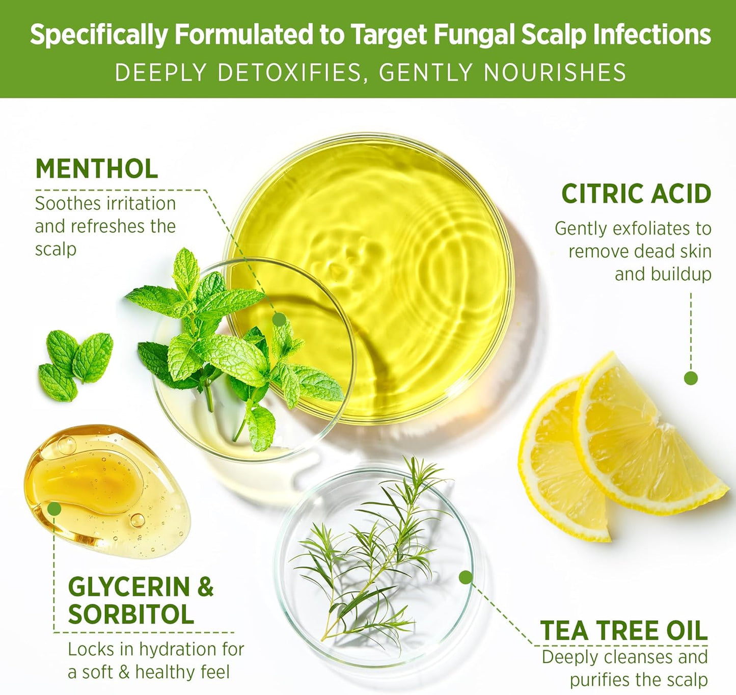 Roycederm Tea Tree Scalp Scrub with Scalp Massager Brush - Deep Cleansing, Itchy Relief Scalp Treatment for Dandruff, Psoriasis & Seborrheic Dermatitis - Gently Exfoliator, Relieves Dryness