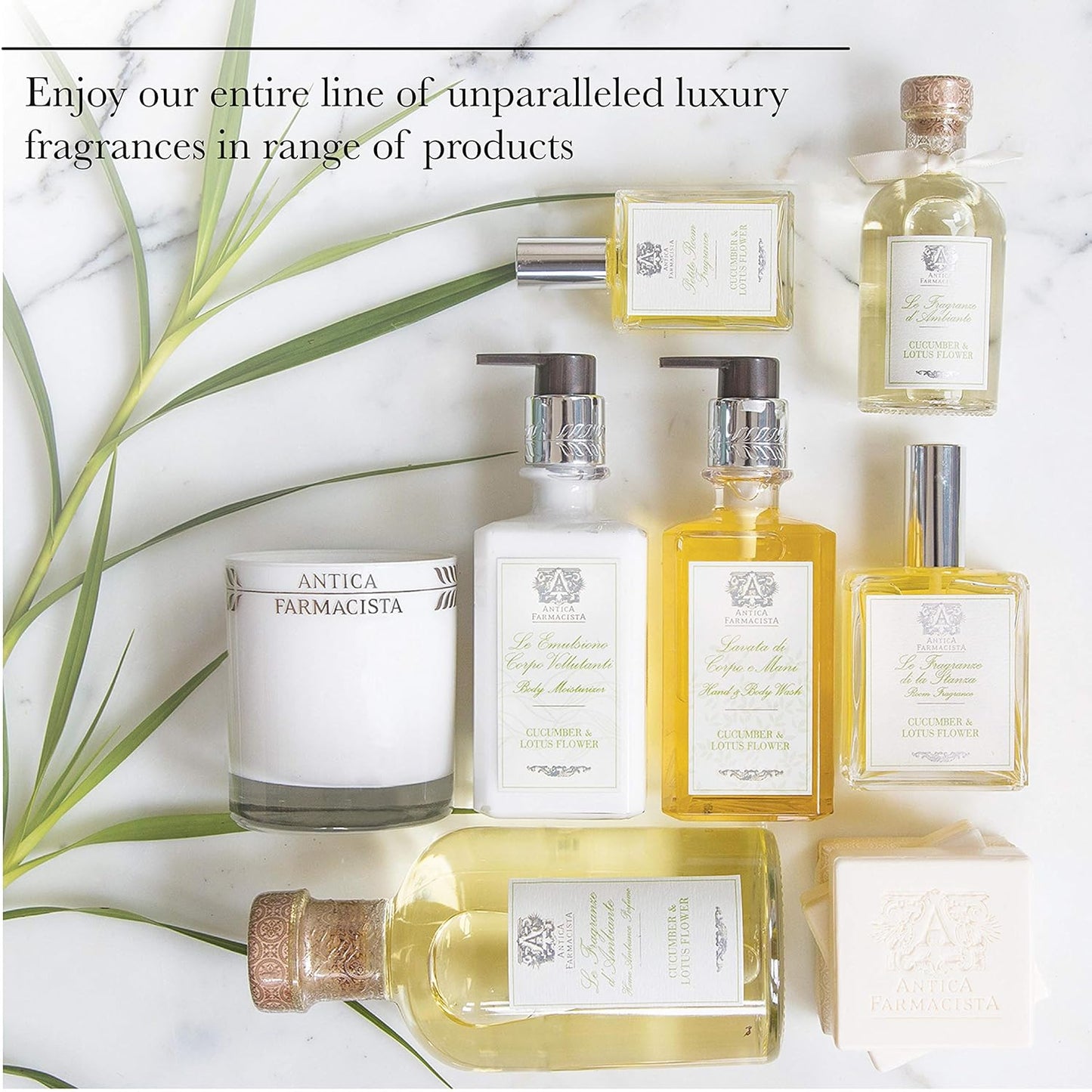 Antica Farmacista Hand & Body Wash - Luxury Nourishing Body Wash - Hydrating Hand Cleansing Wash - Bath & Body Gift - Santorini, 10 fl oz