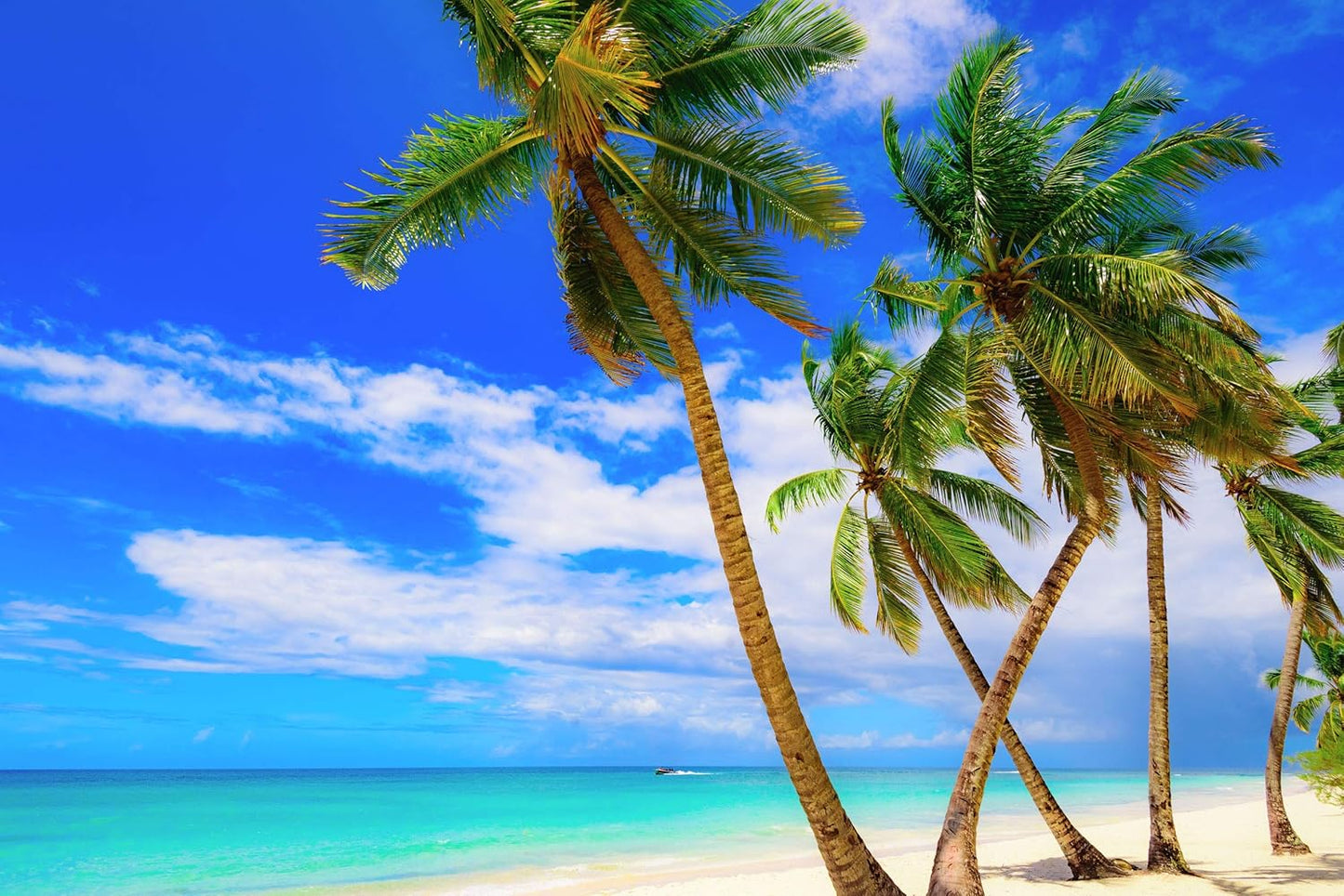 US Organic Fractionated Coconut Oil Bulk Pack, USDA Certified Organic, Non-GMO, Perfect for massage, carrier oil for DIY blends, Hair, Skin care. 100% Pure, Hexane-Free (128 oz (1 Gallon))