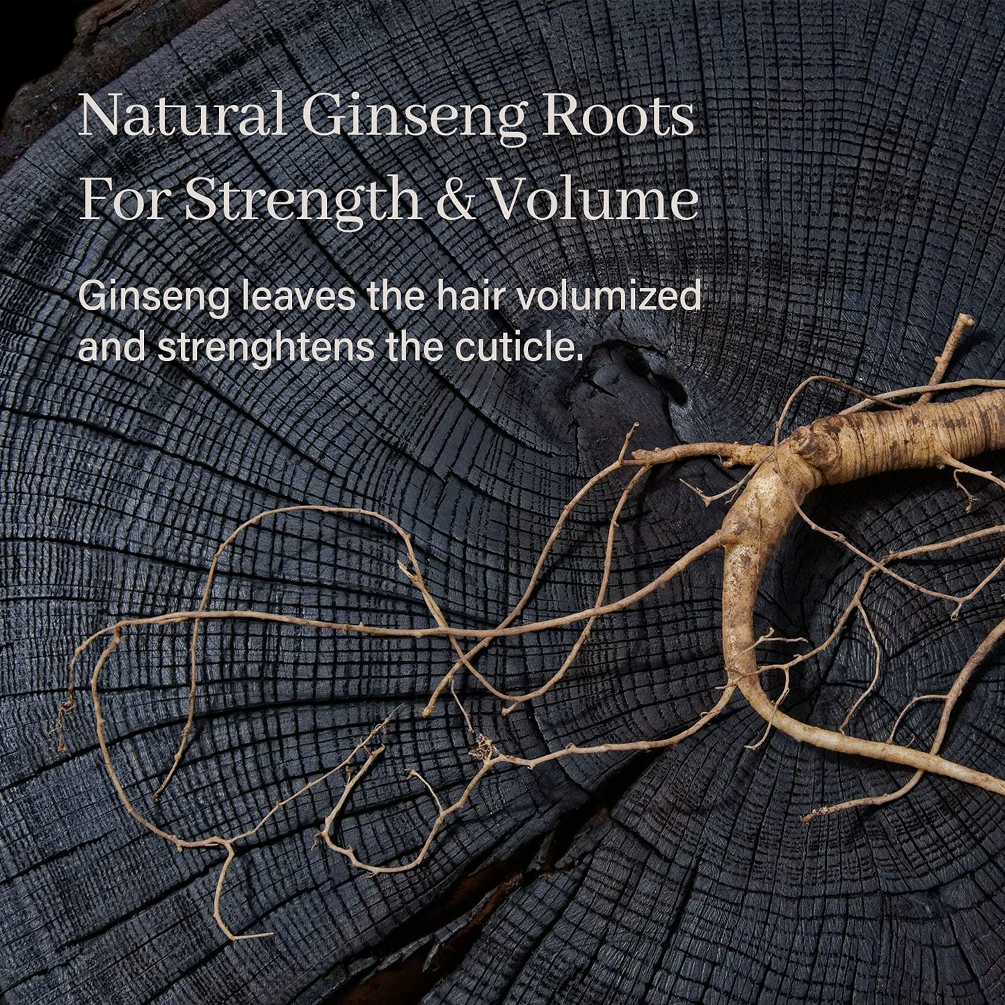 ARENCIA Night Shadow Biotin Shampoo Bar for Regrowth & Hair loss, Darkening, Gray Hair | Strengthening & Volumizing | Normal to Oily Hair | Vegan, Natural, pH balanced, Sulfate free