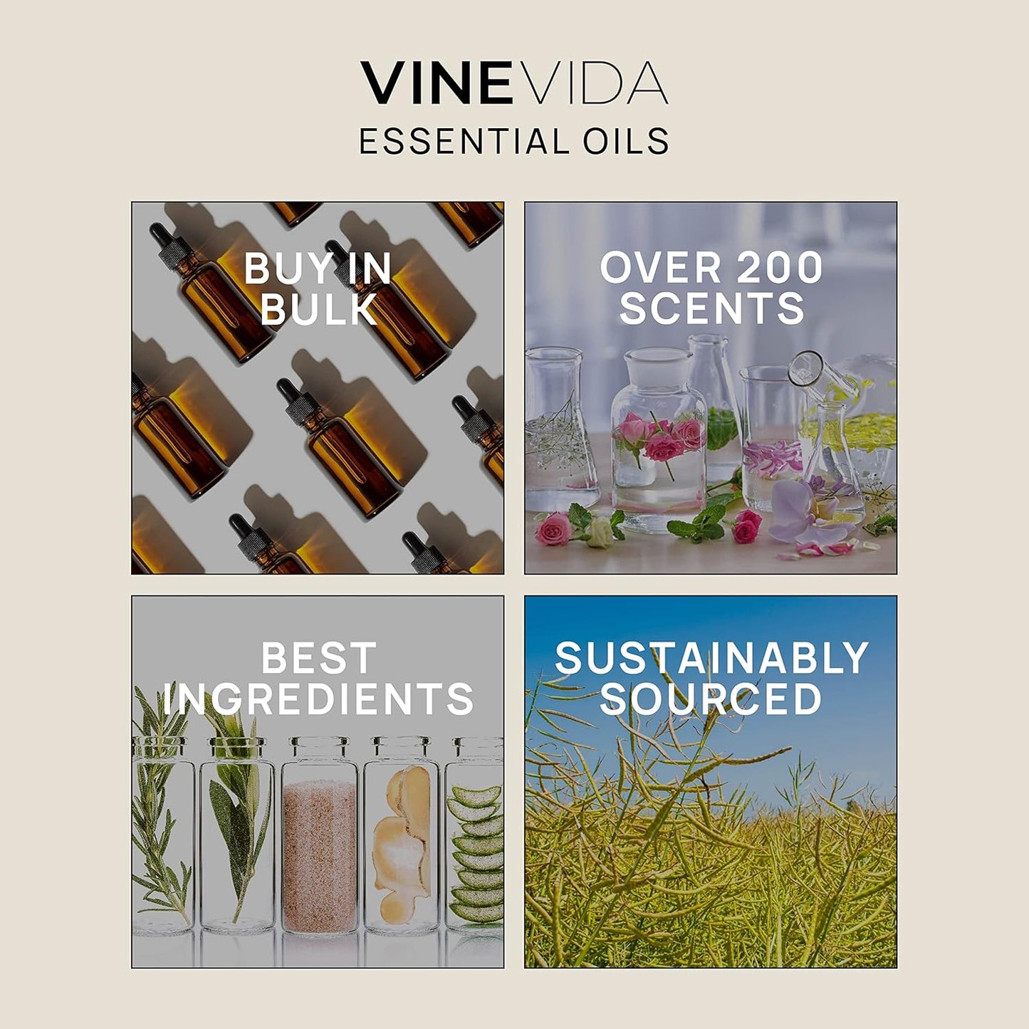 VINEVIDA Pine Scotch Essential Oil - 32 oz - DIY Candle Scents & Bulk for Soap Making