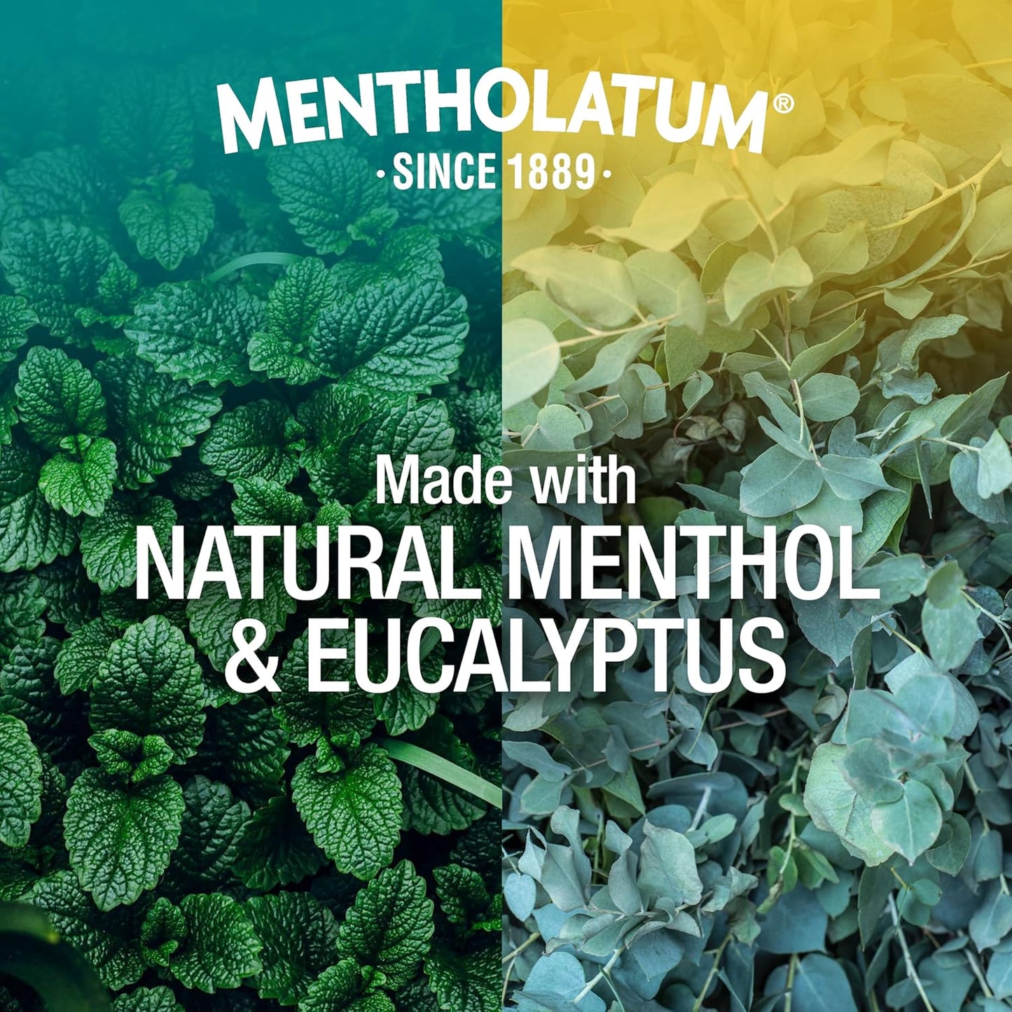 Mentholatum Vaporduo (2 Pack)